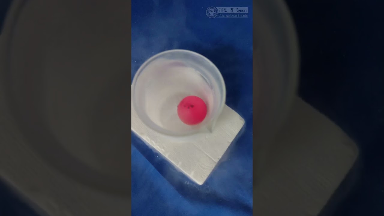 焼けた鉄球を液体窒素に入れると？？/ 米村でんじろう[公式] #実験 #科学