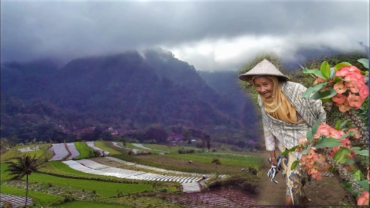 Damainya hidup di pedesaan dusun ngabean #desaasri #suasanapedesaan #trendingkan