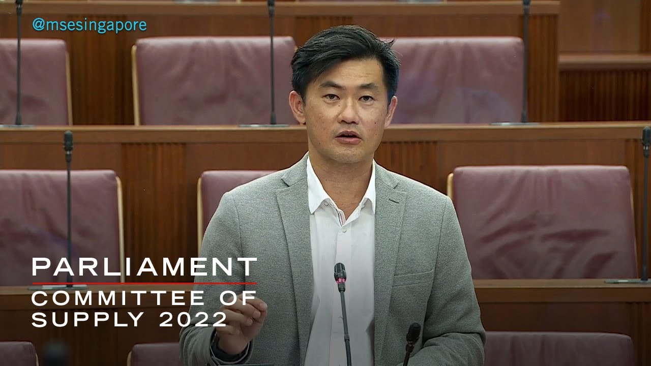 Building A Sustainable, Resilient, Liveable And Vibrant City Together: Desmond Tan