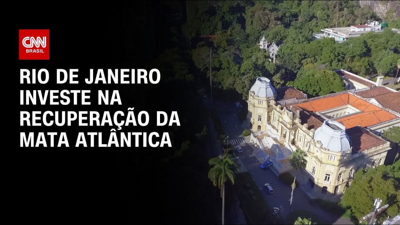 Rio de Janeiro investe na recuperação da Mata Atlântica | CNN PRIME TIME