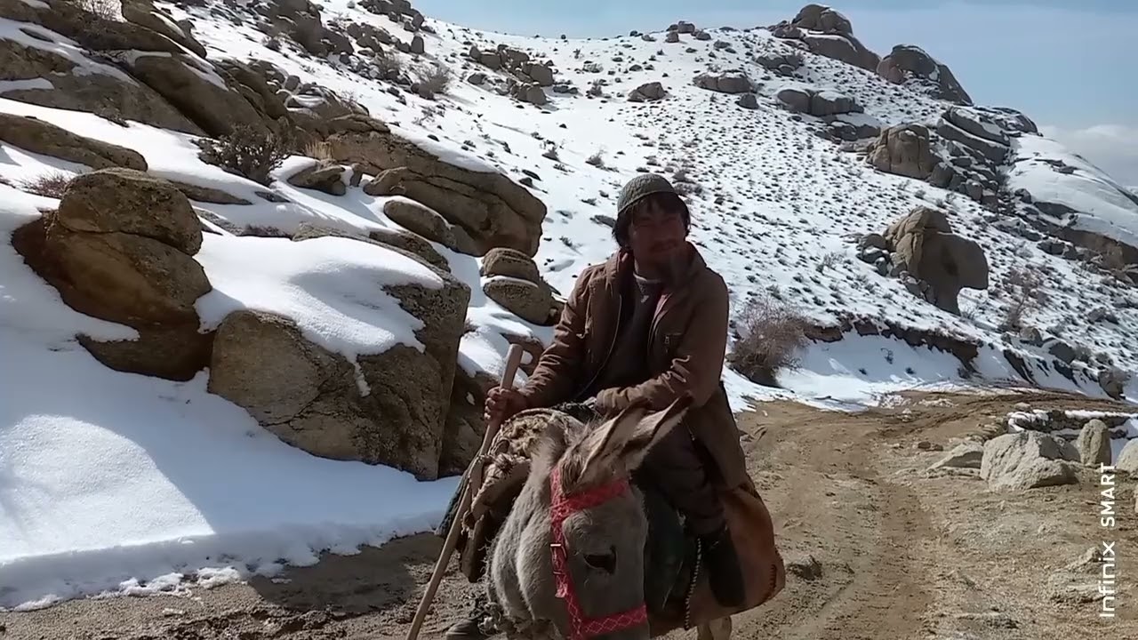 کمک یک فرد معیوب شیران برای اعمار #کوتل_شویی به اندازه توانش