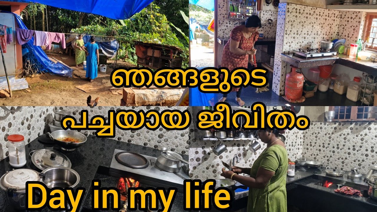 സാധാരണക്കാരായ ഞങ്ങളുടെ പച്ചയായ ജീവിതം/Day in my life/Morning routine#Divya's kitchen /Daily vlog/