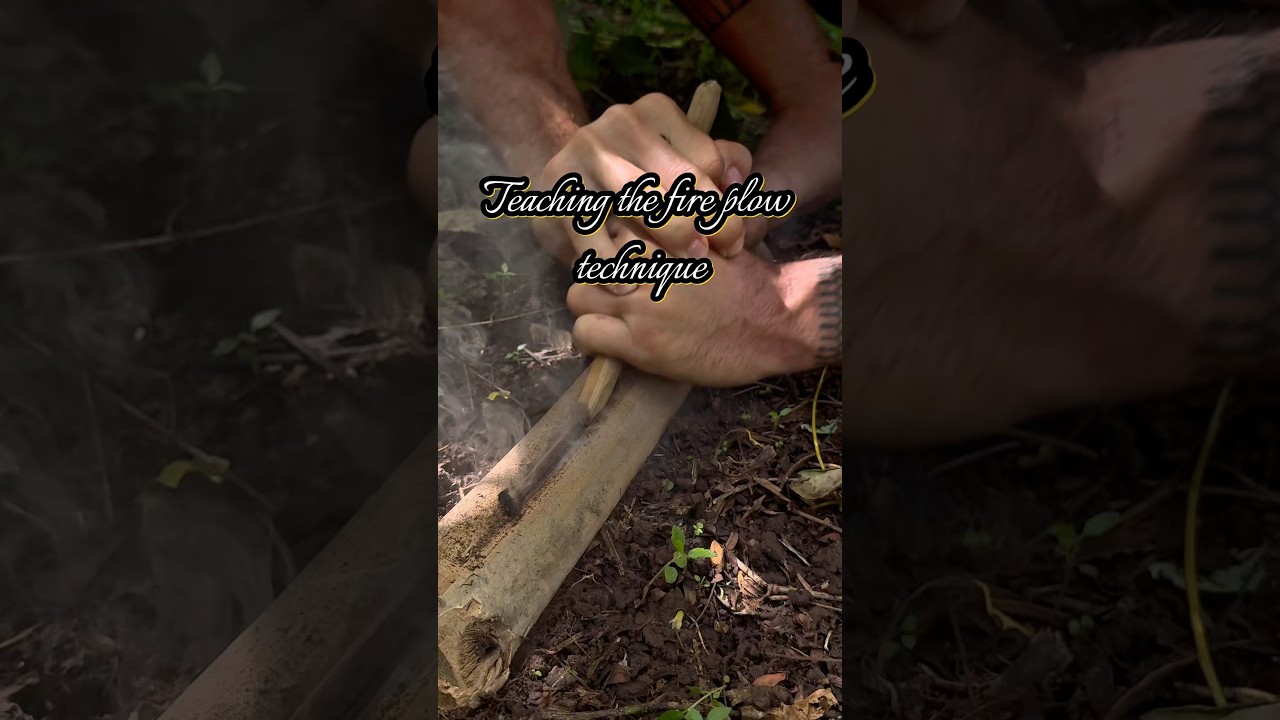 Teaching the fire plow technique #primitivefirelighting #bushcraft #creativesurvival #firemaking
