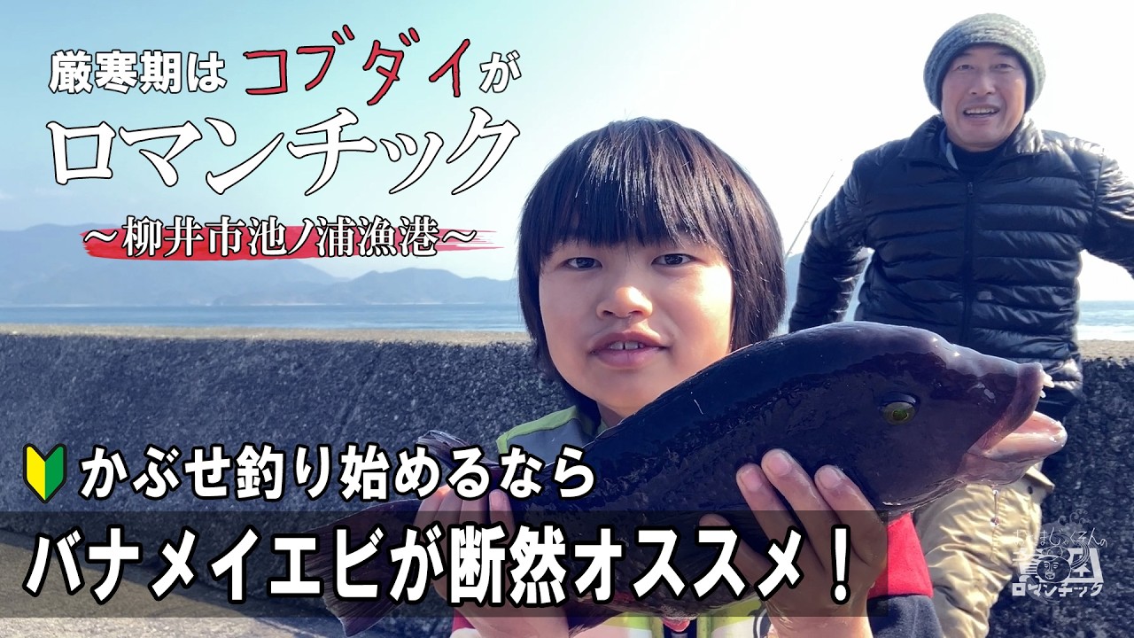 コブダイ釣り【バナメイエビかぶせ釣りは初心者の味方】山口県東部の漁港を巡るシリーズ〜柳井市池ノ浦漁港〜ep.095