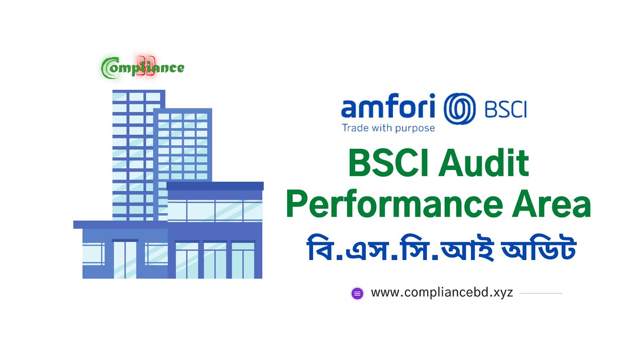 BSCI Audit Performance AREA