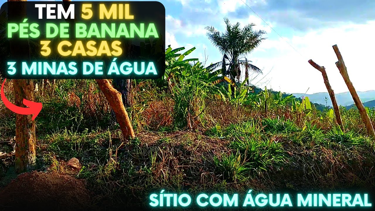 (VENDIDO) O sítio de 23 HECTARES com MINA DE ÁGUA mais BARATO de Pernambuco e do