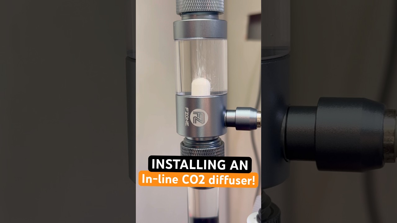 Cleaning out my Fluval 207 + installing an in-line CO2 diffuser! 🐠🧼