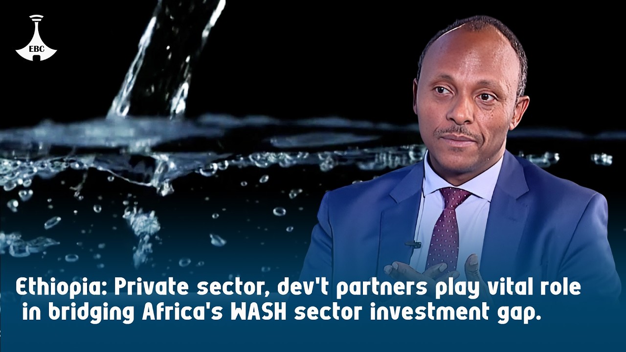Ethiopia: Private sector, dev't partners play vital role in bridging Africa's WASH sector