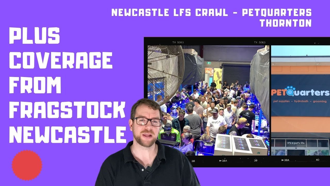 PetQuarters Thornton & Fragstock Newcastle