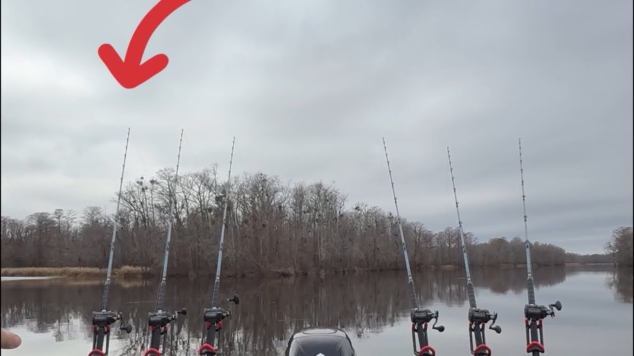 Winter Catfishing Surprise! UNEXPECTED CATCH!