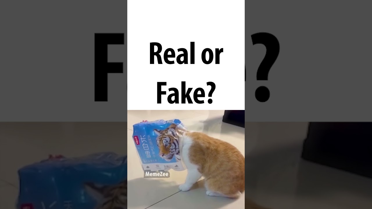 real or fake?