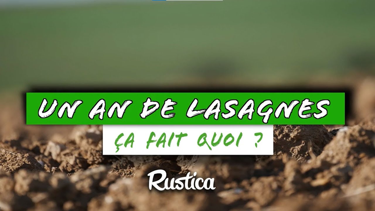 Apr&egrave;s 1 an de lasagne au carr&eacute; potager