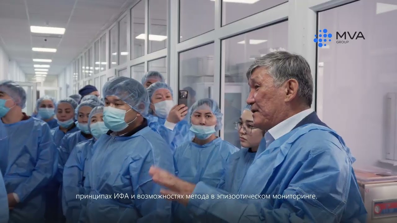 В MVA Group прошёл обучающий семинар по ИФА-диагностике Вируса ящура