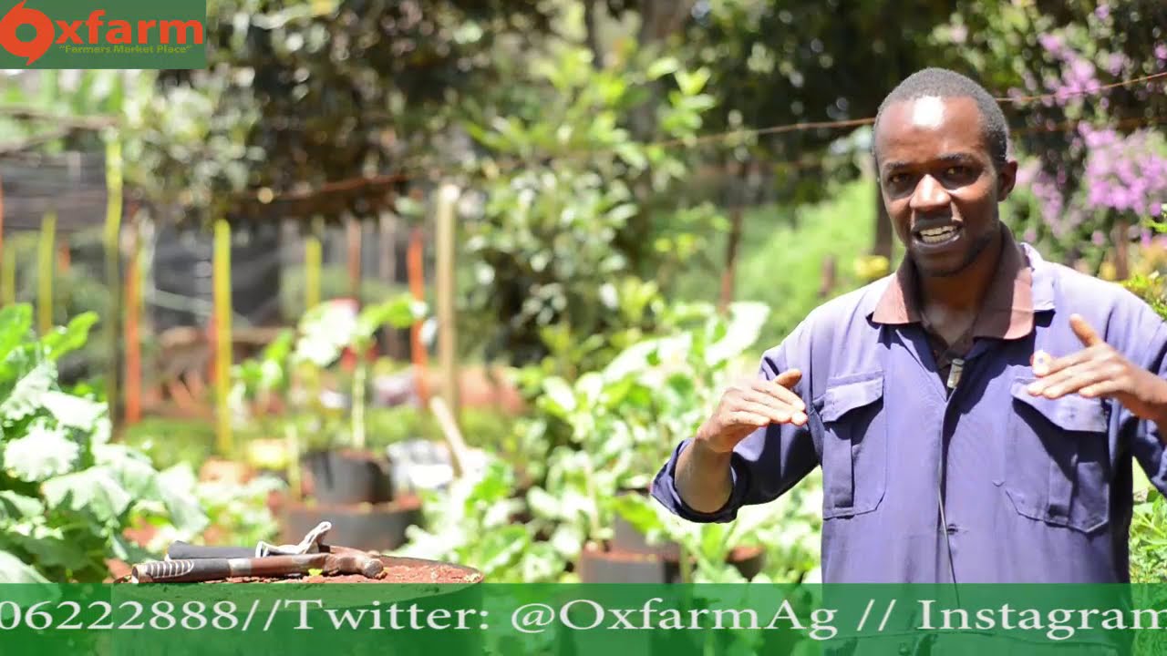 Oxfarm Multi-storey Garden - saves on space