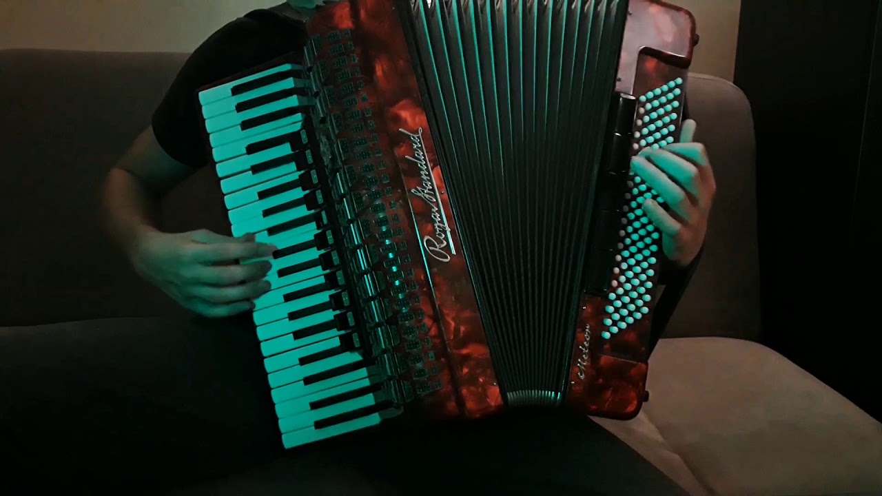 Defis- Róże (akordeon cover)