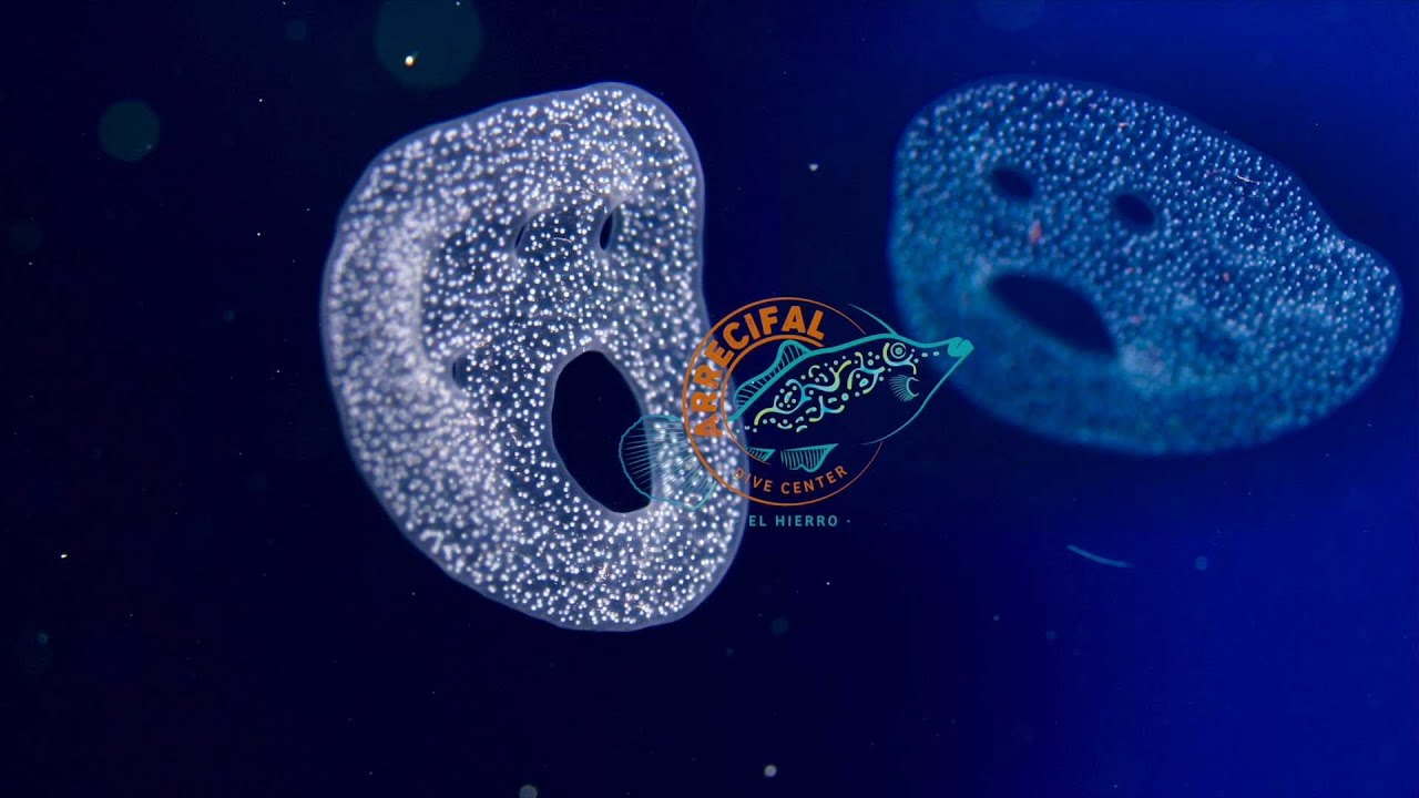 19 10 2025el hierro