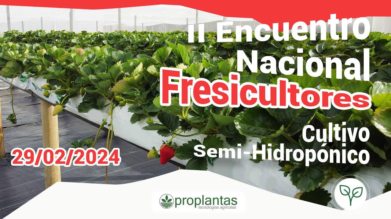 🌱II Encuentro Nacional 🌱| 🍓 Cultivo Semi-Hidrpónico para Fresa 🍓 - Taller Fresicultores
