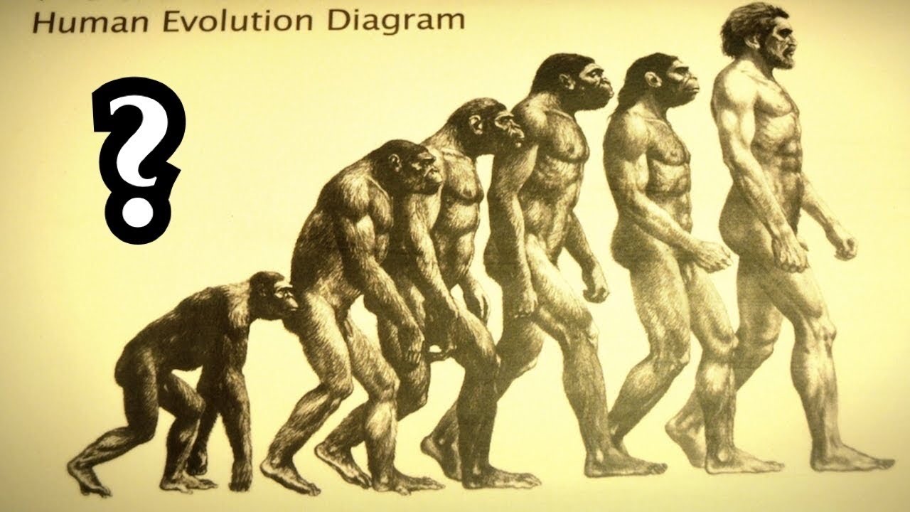 Die harten Fakten &uuml;ber die Evolutionstheorie