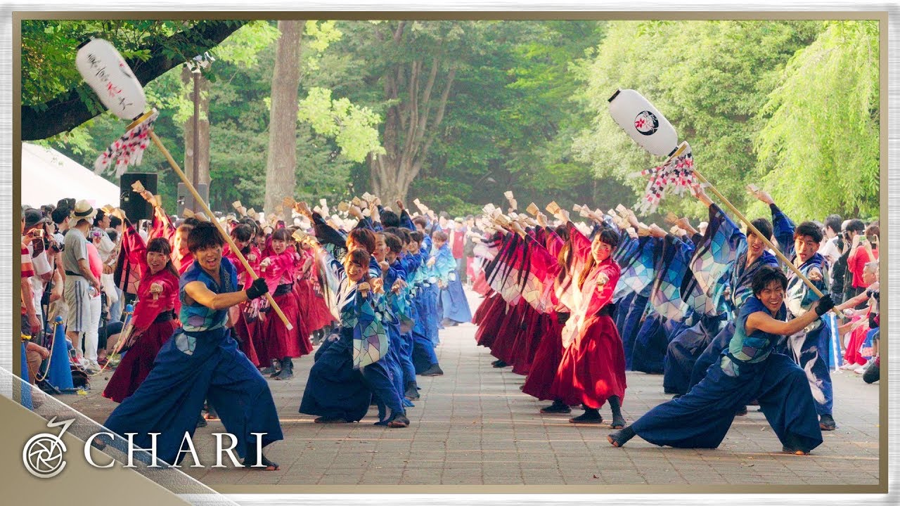 【4K】早稲田大学東京花火｜ハヰカラ（よさこい光が丘 2018）