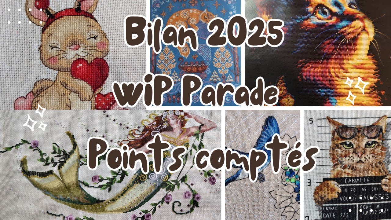 15 PROJETS TERMINÉS ☺️🥳 #wip #wipparade #flosstube #broderie #pointdecroix #countedcrossstitch 