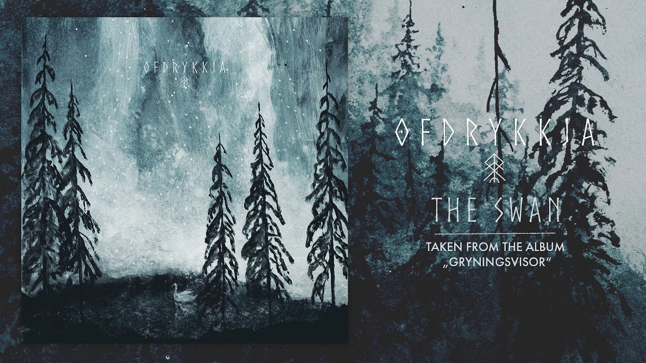 Ofdrykkja - The Swan