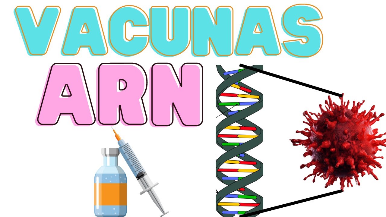 ¿Cómo funcionan las vacunas de ARN?