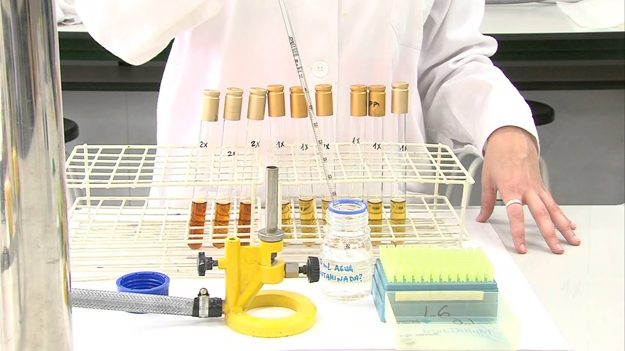 Prácticas de Microbiología. Detección de contaminación fecal en aguas. Vídeo 9