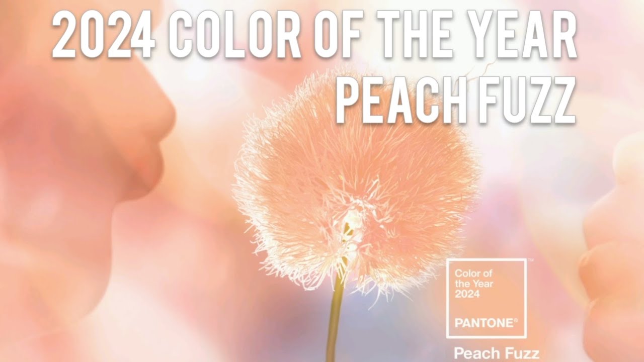 2024 Pantone Color of the Year: Peach Fuzz 🍑