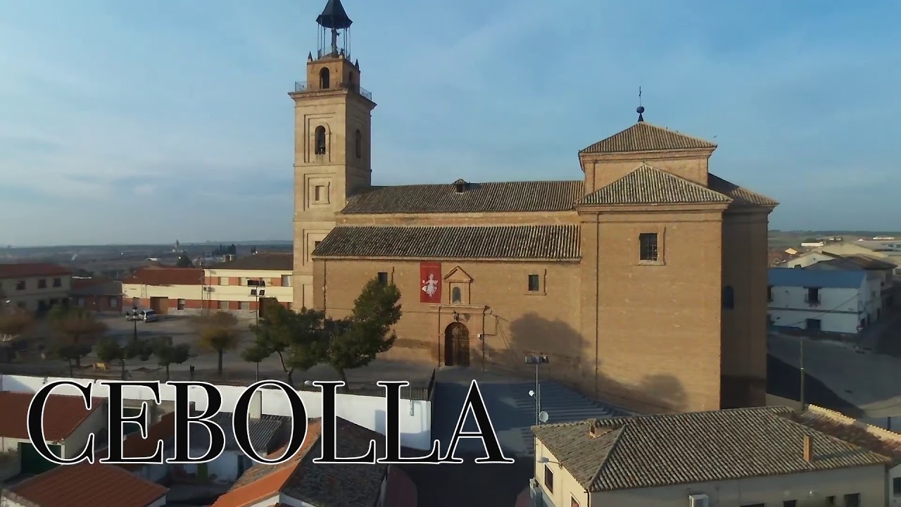 Cebolla-Fitur2020