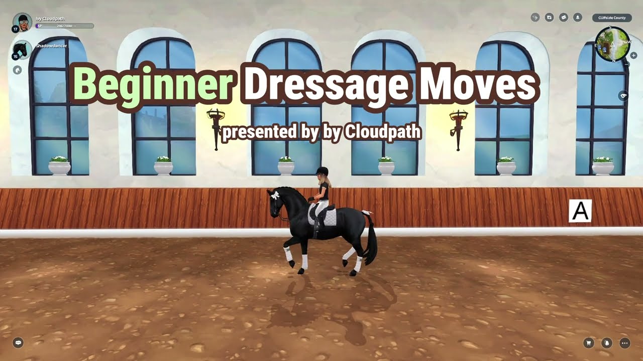 Beginner SSO Dressage Moves