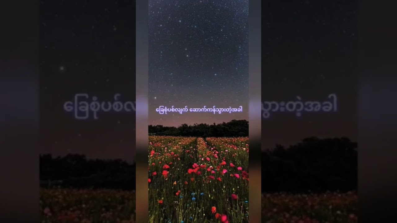 Shin Kwal Vocal THZ™×Flow Tide MIX& MASTERING BY THZ™အားပေးကြပါအူးဗျ💌💌