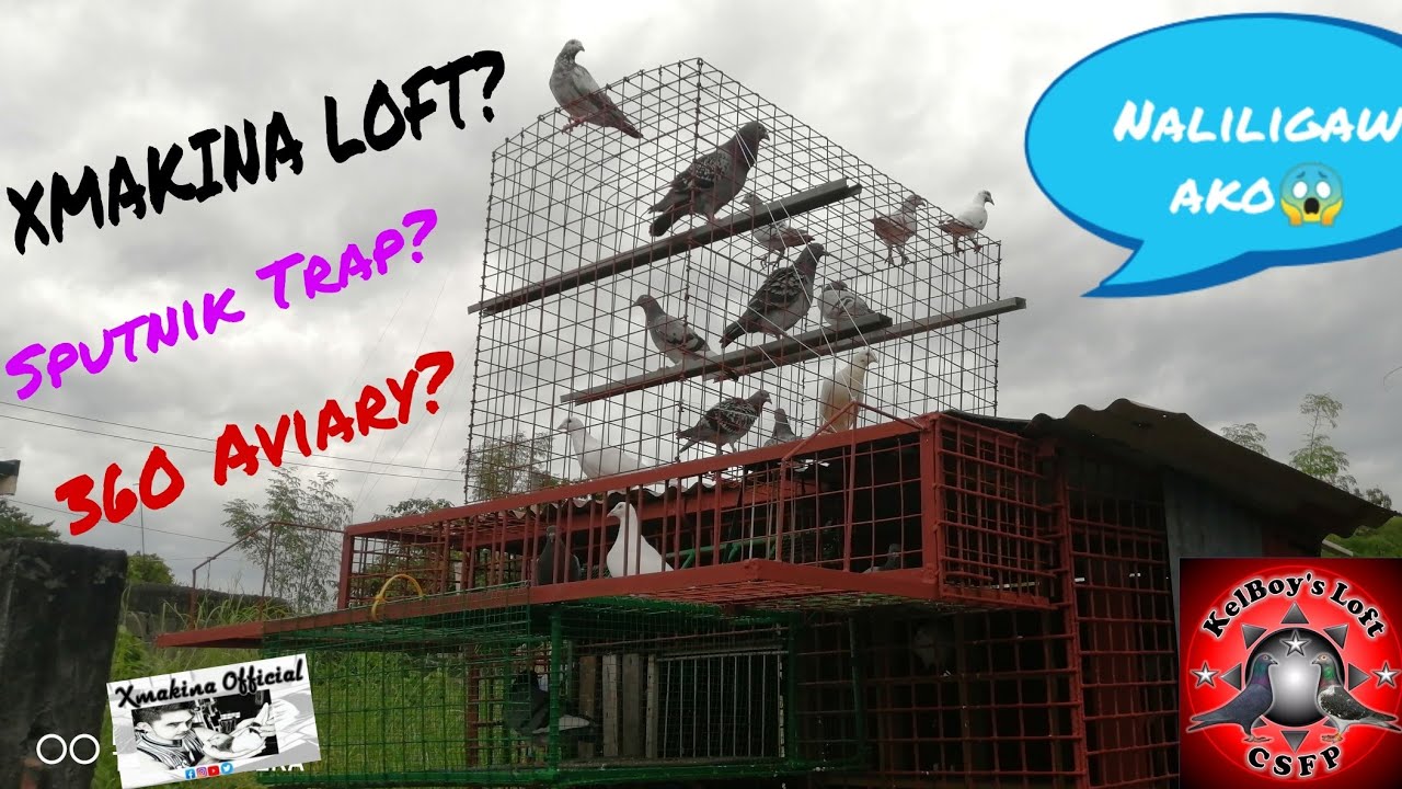 XMAKINA inspired LOFT design + Sputnik Trap + 360 Aviary 😱 (3 in 1)
