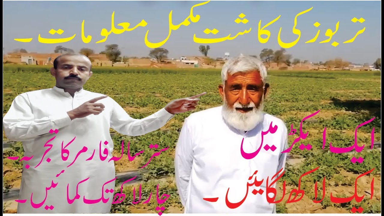 How to Grow Watermelon|Tarbooz ke kasht Complete Procedure