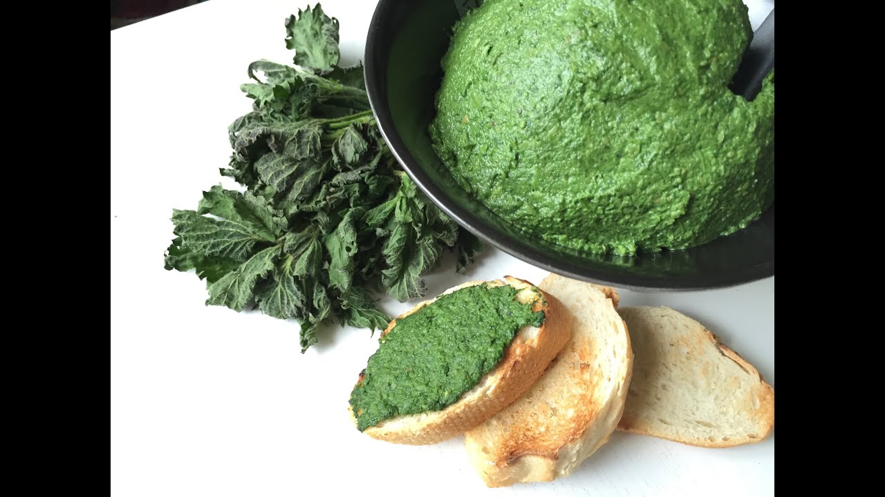 Nettles recipe