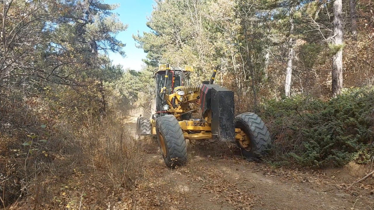 CAT 140M ORMAN CANAVARI _forest manster _otlu yollar_grassy roads