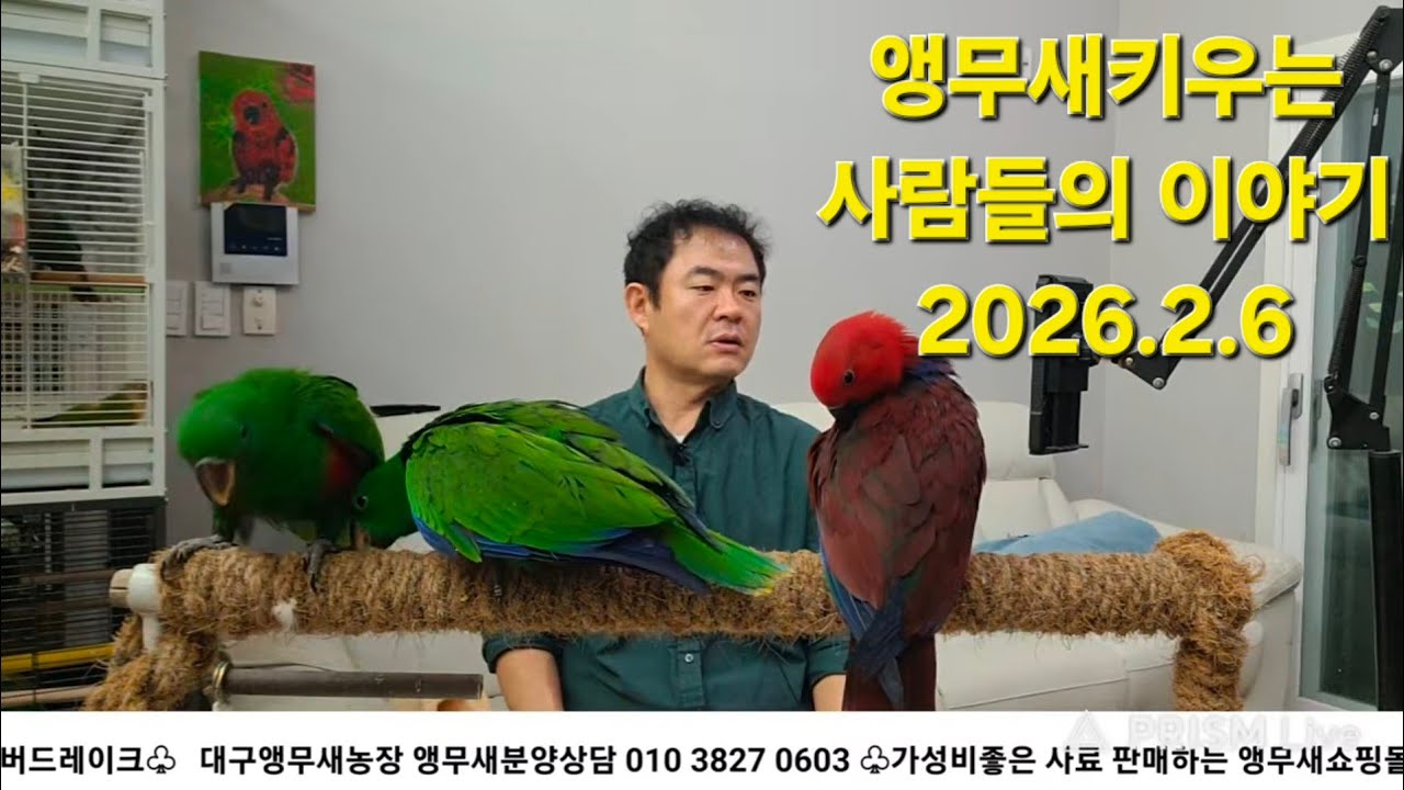 대구앵무새농장 [ Birdlake ] 앵무새 키우는 사람들의 이야기 20260206