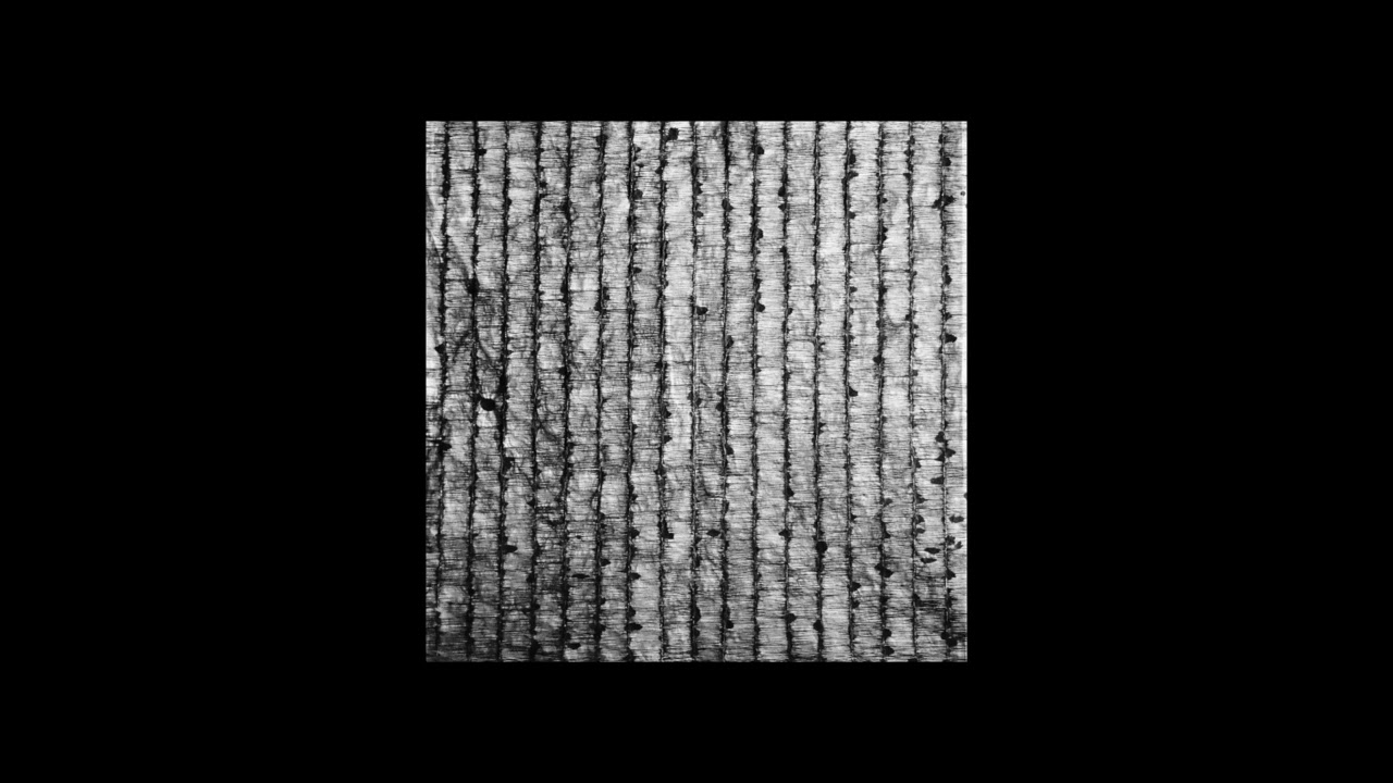 Extract from Philosophy with a Hammer
