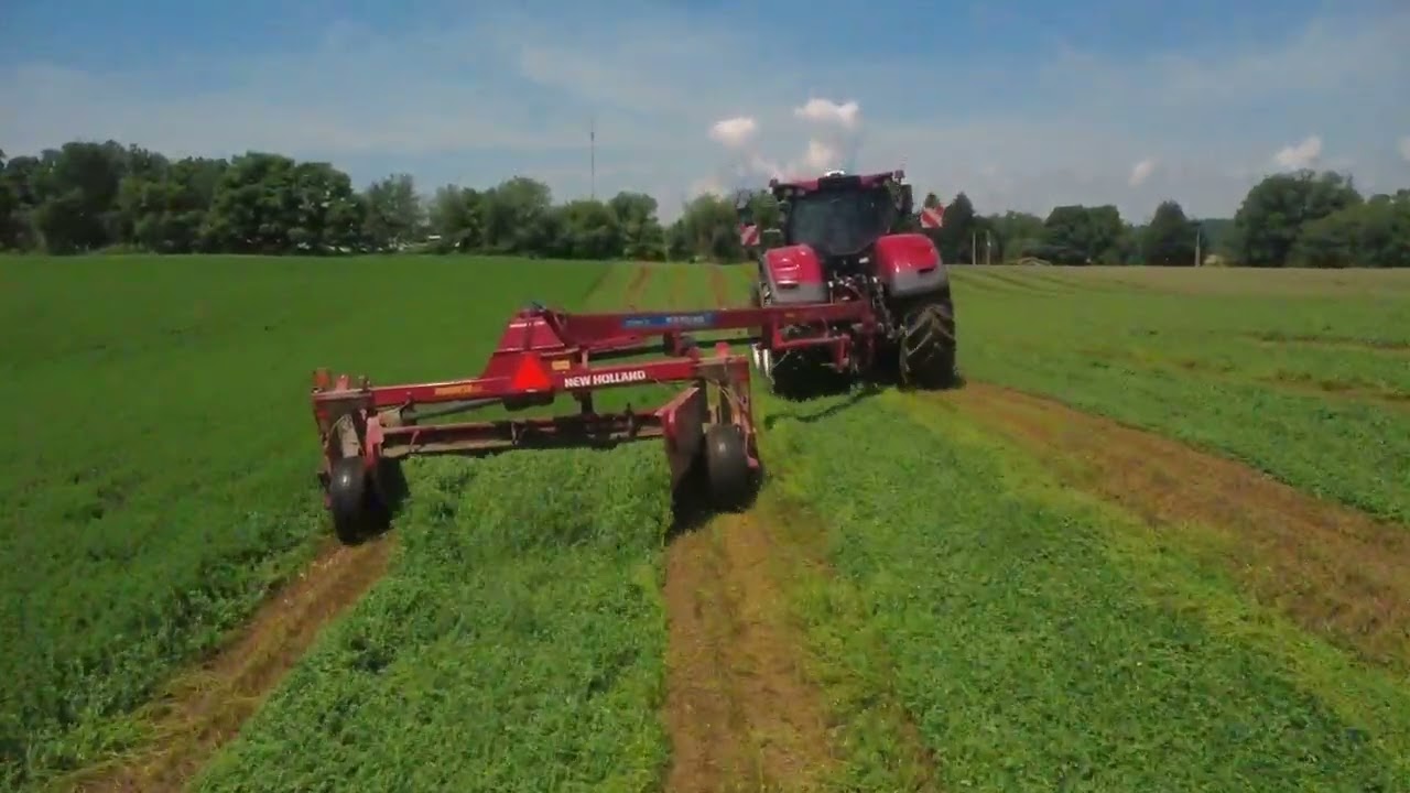 Mowing Hay 2025. (Case 300 Optum)