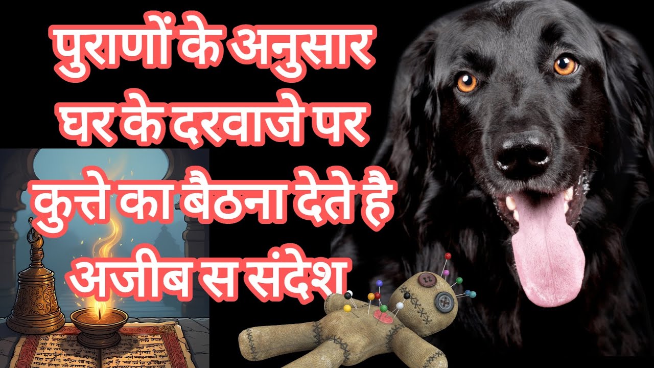घर के दरवाजे कुत्ते का बैठाना देता है😮 अचूक संदेश | शुभ य अशुभ
