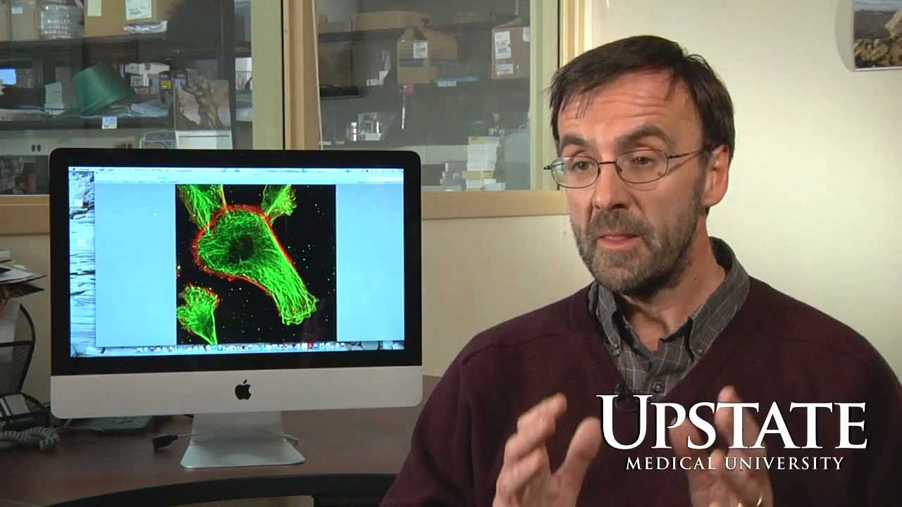 Dr. Christopher E. Turner Interview - SUNY Upstate Medical University