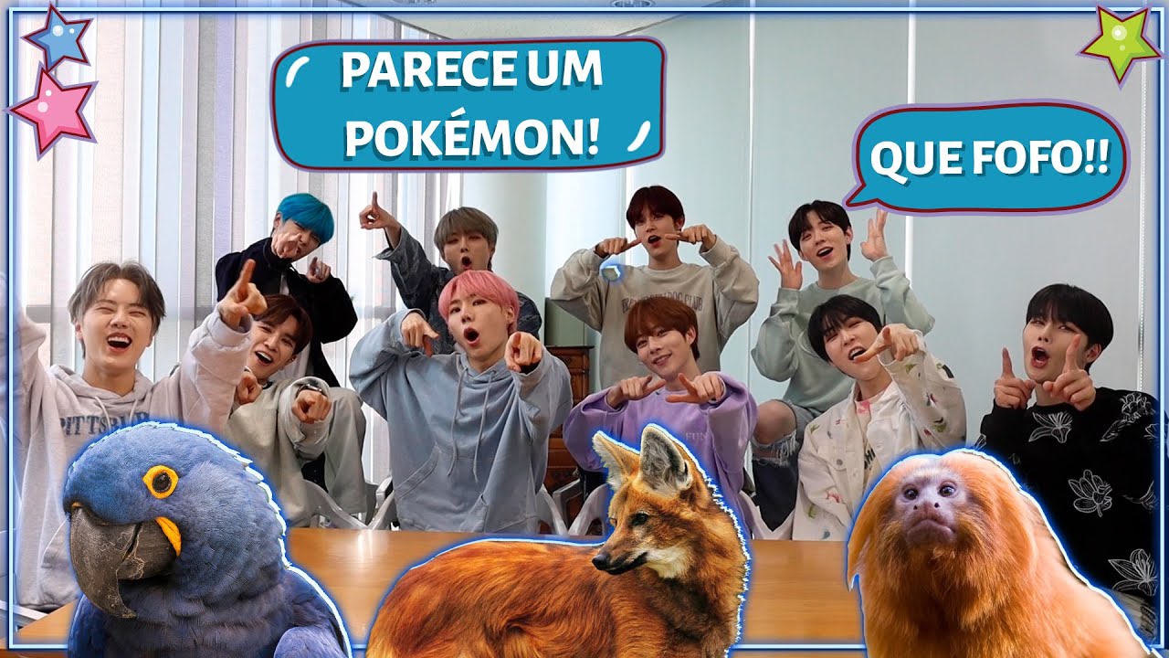 GRUPO DE KPOP REAGE A ANIMAIS BRASILEIROS (COM NINE.i)