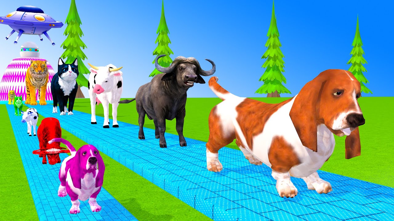 Long Slide Game With Cow Elephant Gorilla Hippopotamus Tiger 3d Animal Game Funny 3d Animals