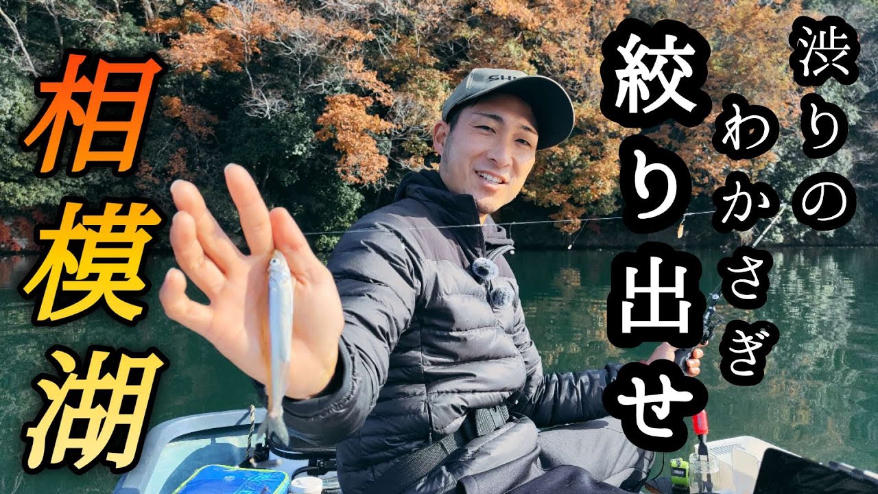 【ワカサギ釣り】変幻自在のテクニック！？縦誘いと縦空合わせ【相模湖】