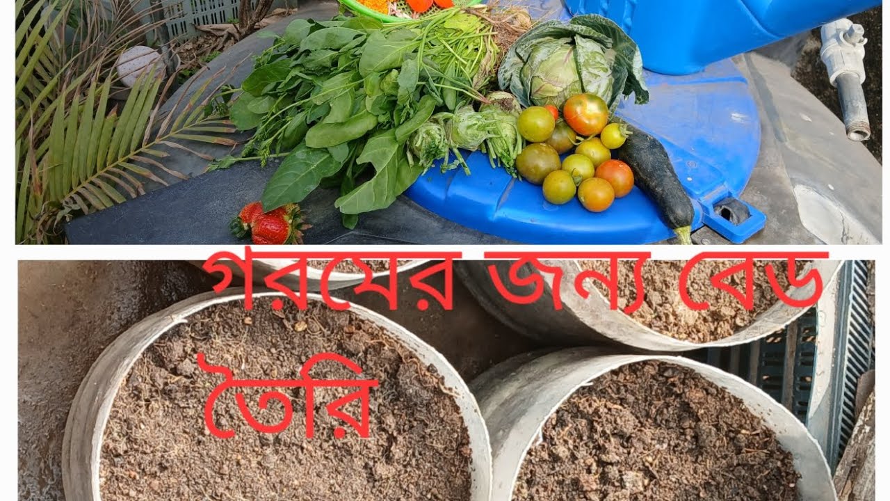 আজ পেলাম শীতের গুরুত্বপূর্ণ ফল/জৈব ভাবে গরমের বেড তৈরি/ফুল ফল সবজি হারভেসট #rooftop #gardening 