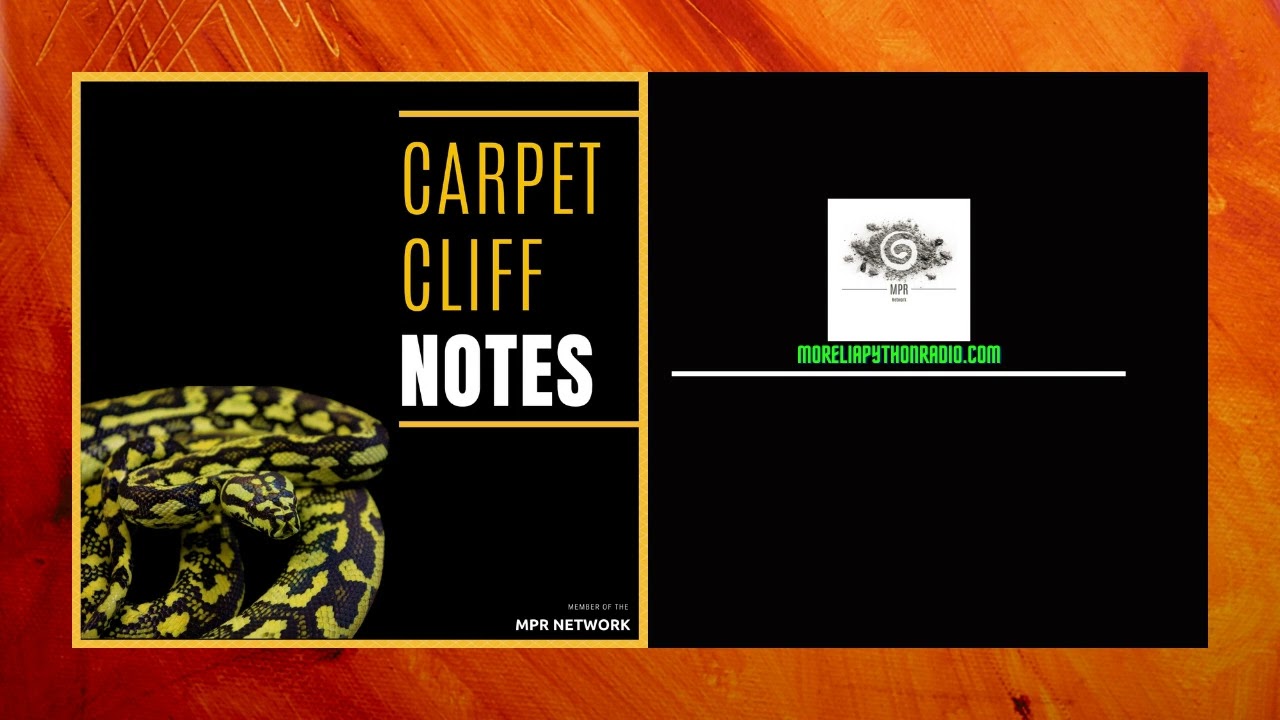 Nova Guinea Carpet Pythons