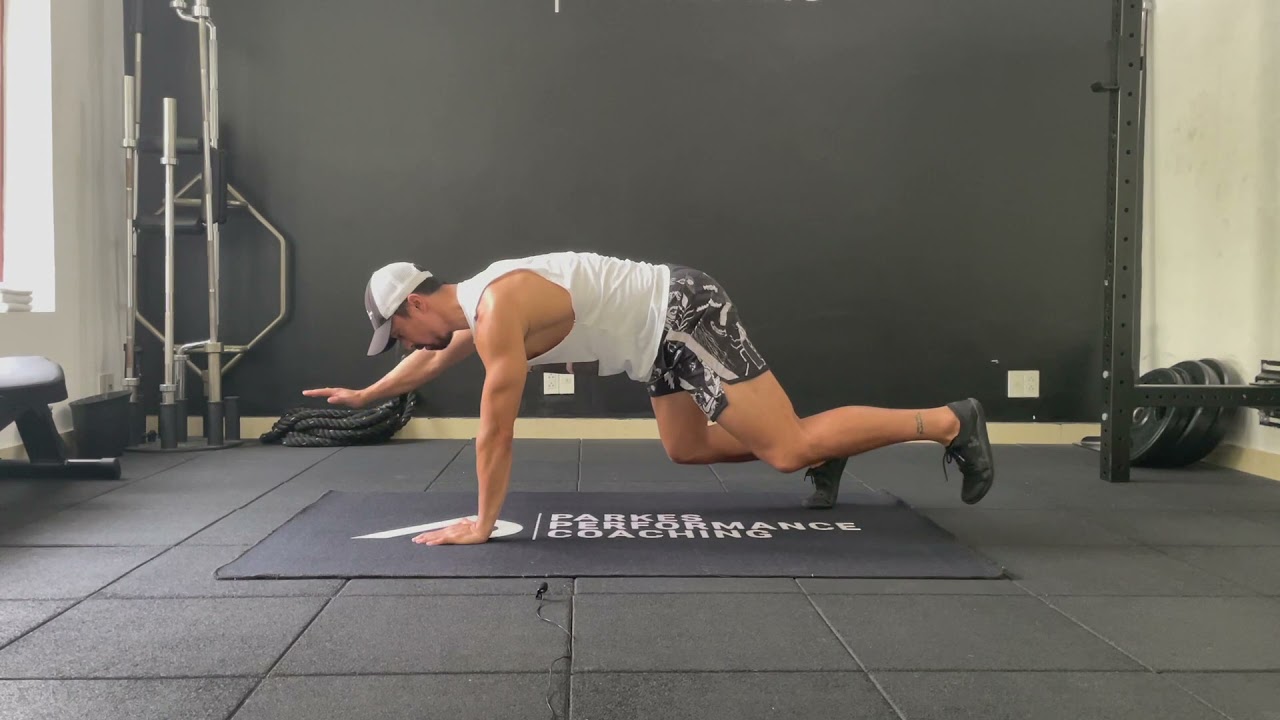 Bear Plank Variation Tutorial
