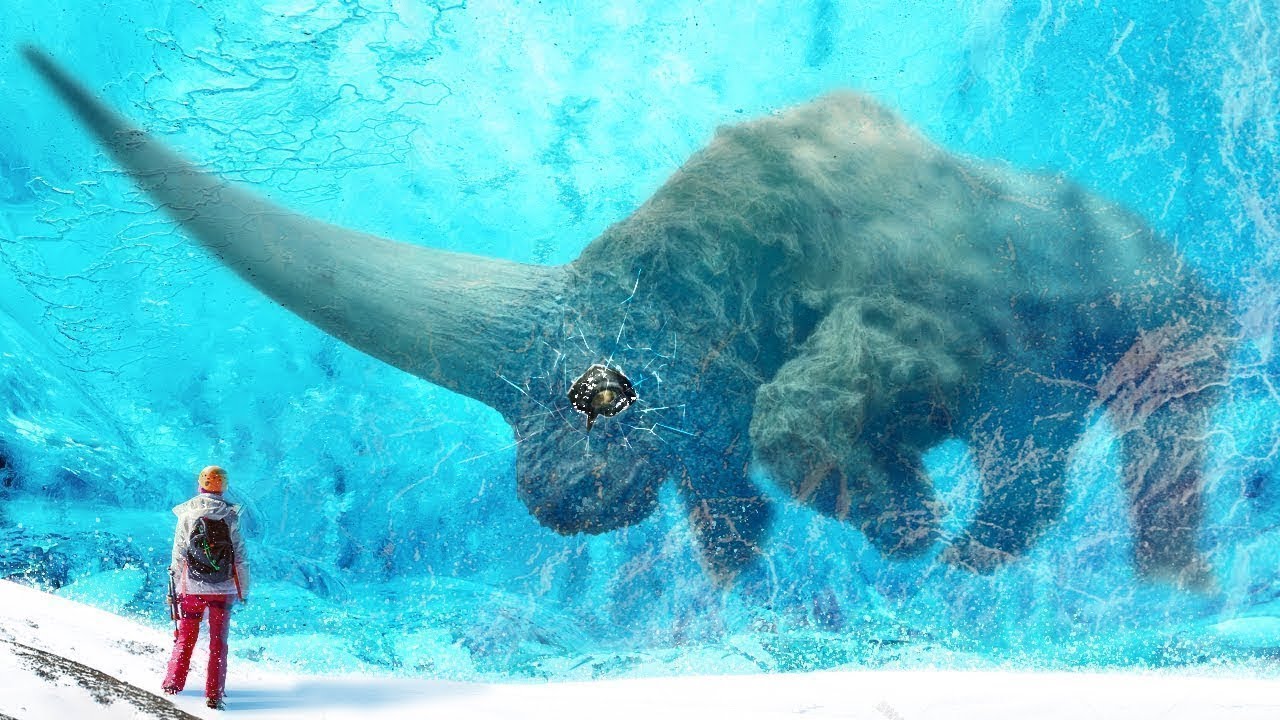 Les Animaux Éteints Que La Science Va Ressusciter