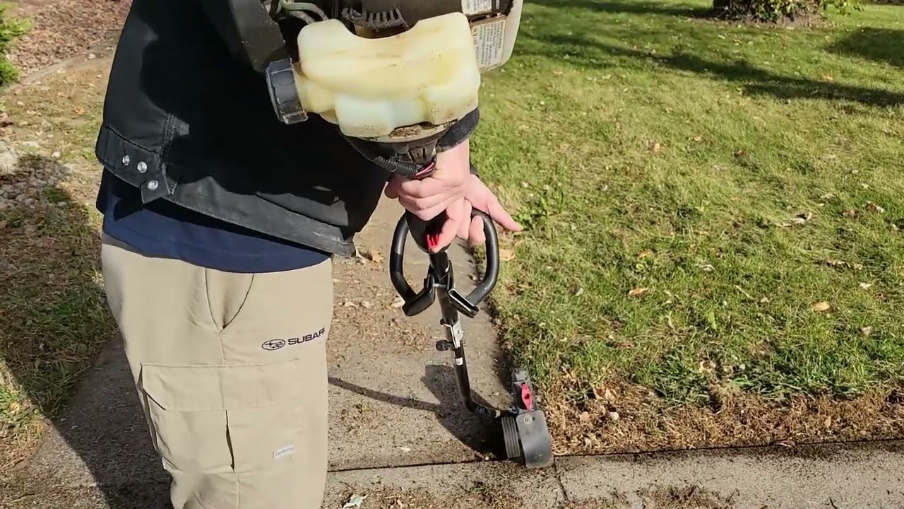 Free Sidewalk Edging (Major Overgrowth)