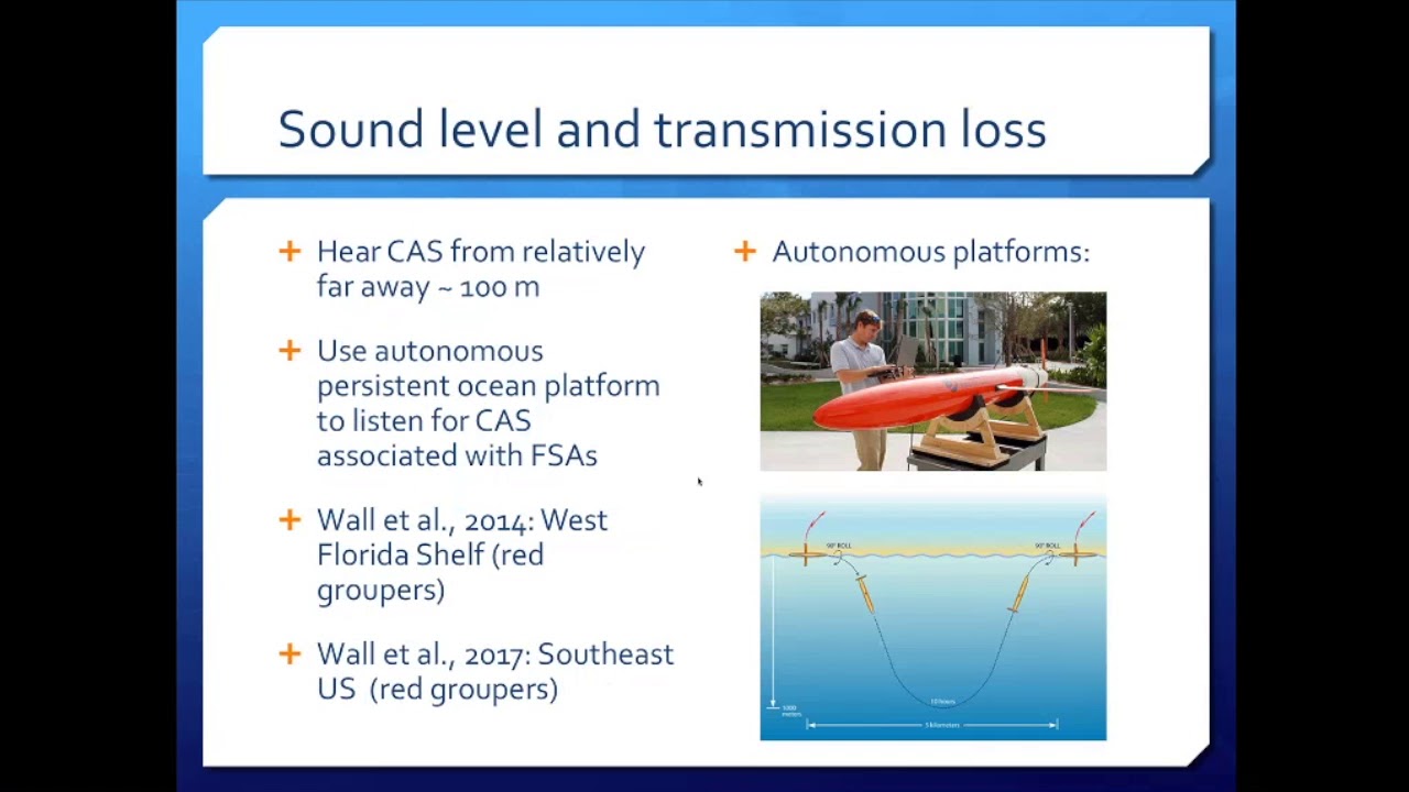 Passive acoustic monitoring on a Wave Glider for fish spawning aggregation