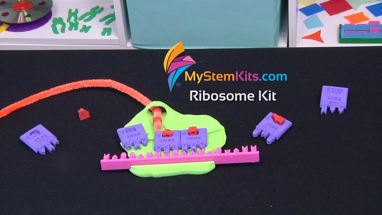 Ribosome Kit